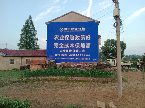 浦北墙体广告的优劣势你知道吗？